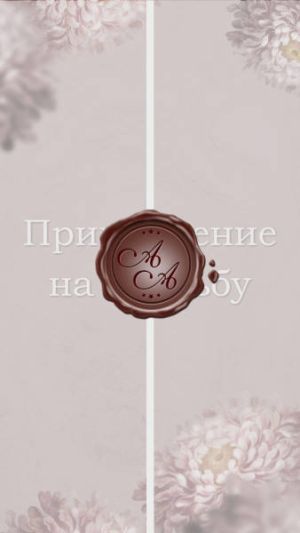 Видеоприглашение № 378-W